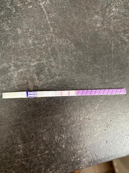 Je ovulační test správně pozitivní při syndromu polycystických ovarií?