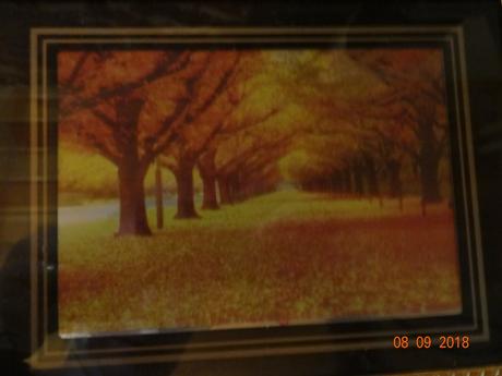 Obraz podzimní krajina,