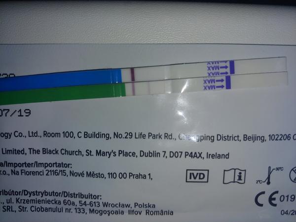 Vidíte něco, prosím?