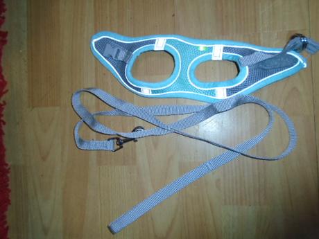 Obojek vodítko postroj štěně xxs, 