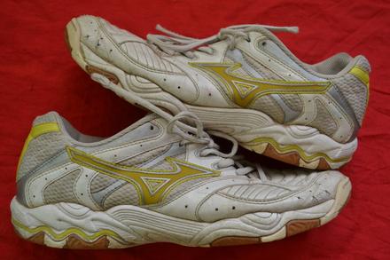 Kožené sálovky mizuno v.40,, mizuno,40