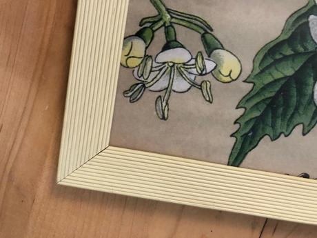 Rám na obraz 33,5x43cm se sklem v krémové, 