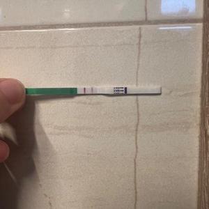 Mohou ovulační testy naznačit těhotenství?