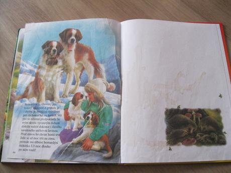 Knížka máme rádi zvířátka,