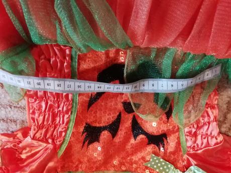 Krásné šatičky na karneval-1-3roky-top stav,