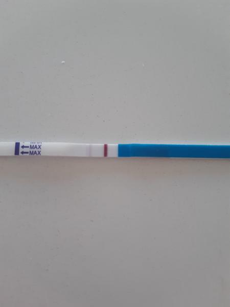 Cesta k vytouženému výsledku. Konečně je přáno?