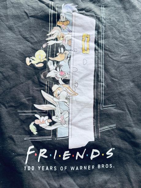 K8/ mikina friends- v.13/14 let, george,158