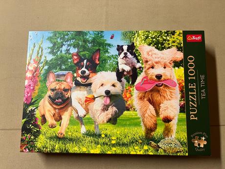 Trefl tea time potíže na obzor - 1000 dílků, 