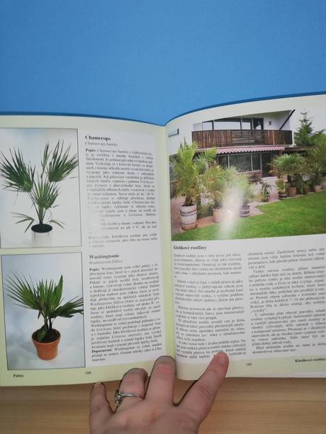 Pokojové rostliny správný výběr a správná péče,