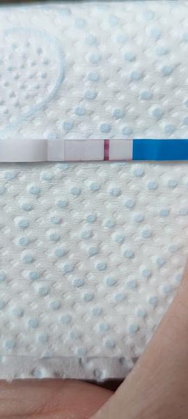 Nechráněný styk během ovulace. Co si myslíte o výsledcích testu?