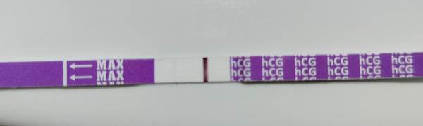 Jak rozpoznat skutečnou rysku na těhotenském testu?