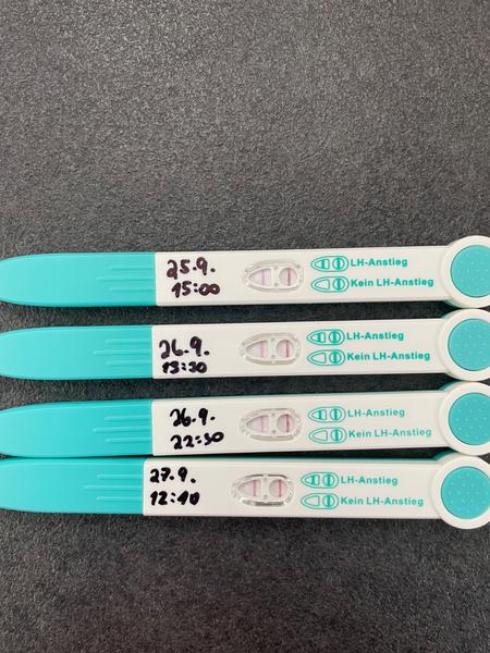 Jak si vysvětlit ovulační testy při nepravidelném cyklu?