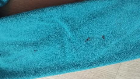 Mikiny 122/128, dopodopo,122