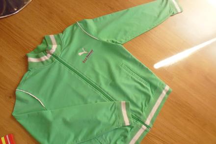 Mikina, puma,152