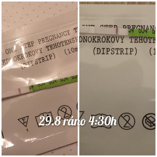 Vidíte něco v testovacím tématu?