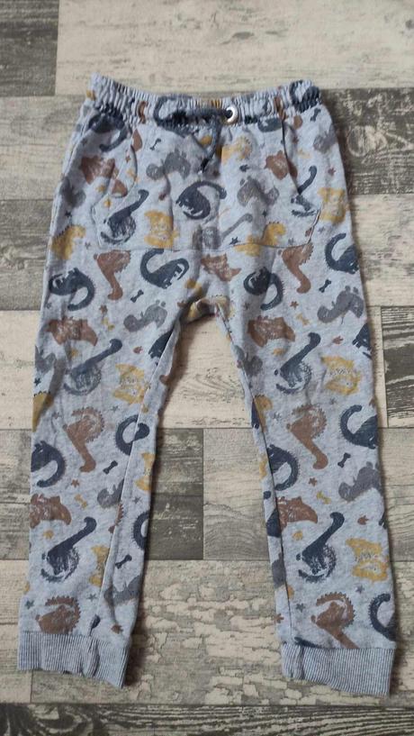 Tepláky chlapecké snížený sed 104/110 dino, george,104