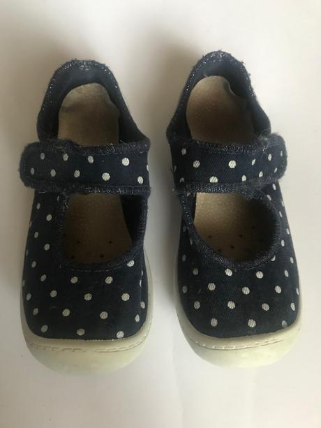 Puntíkované bačkůrky, anatomic,31