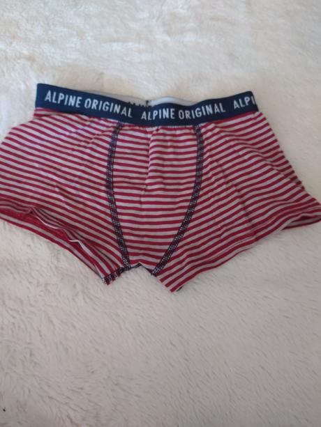 Boxerky alpine 2ks -98/104, alpine pro,98