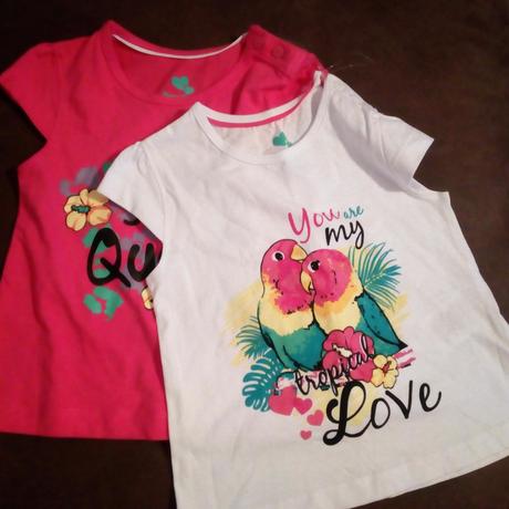 Letni tilka lupilu, lupilu,92