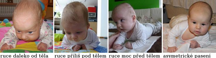 Chybné pasení koníků