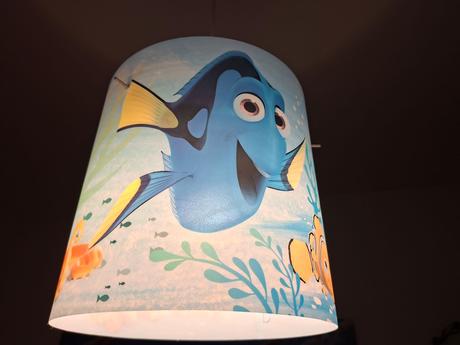 Dory lustr,