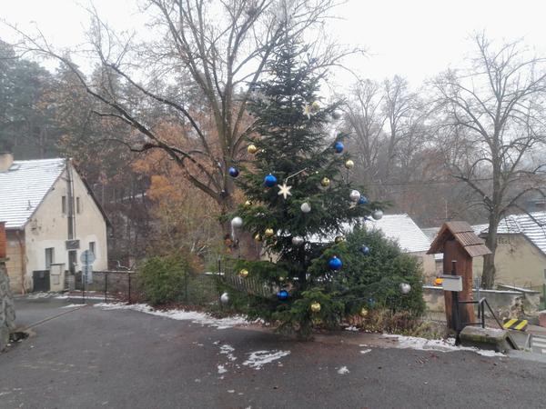 Vánoční strom v Kamenném Přívoze čeká na rozsvícení