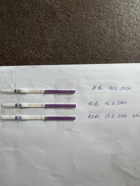 Kdo plánuje další dítě a používá ovulační testy?