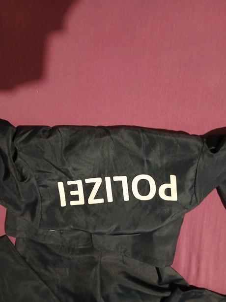 Kostým na karneval, 