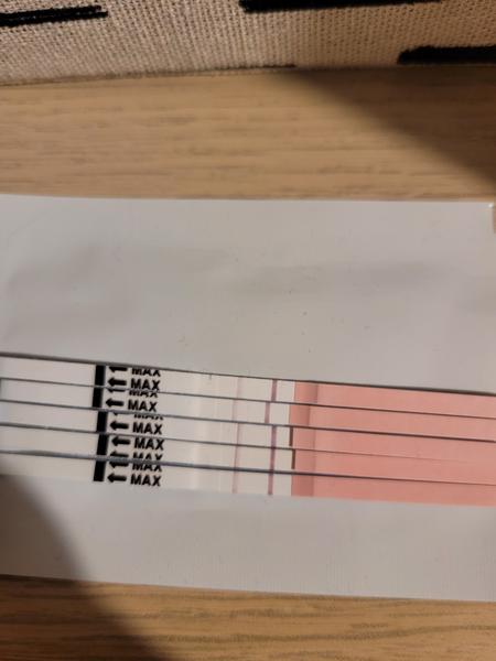 Je poslední ovulační test opět pozitivní?