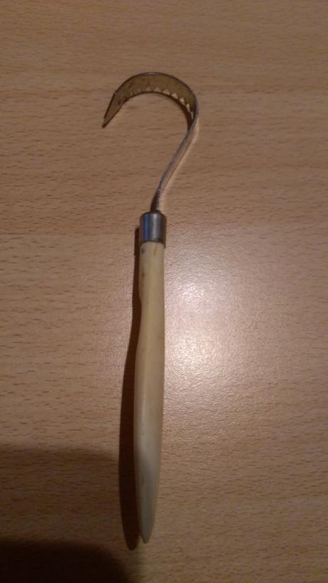 Odstraňovač rybích šupin, 