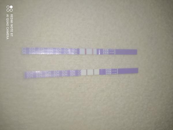 Rada s testama. Vidíte to tam také?