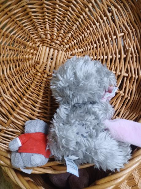 2krát plyšový medvídek me to you, 