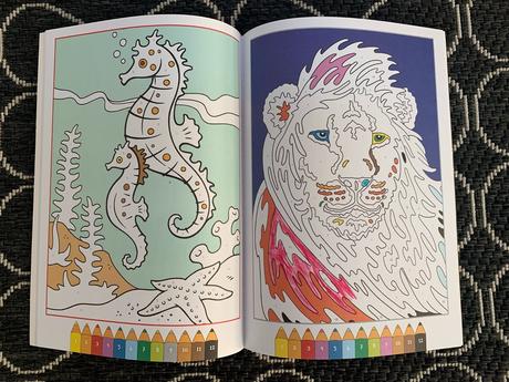 Sada figúrok zvierat, časopisov a zošitov, 