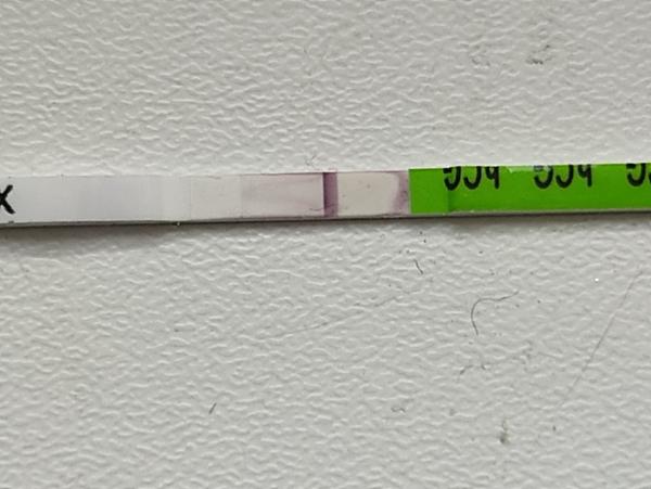 Je Na Těhotenském Testu Něco Vidět?