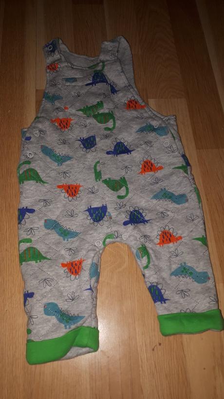 Zateplené lacláče s dinosaury vel 68, pepco,68