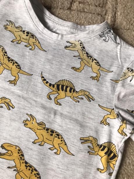 Tričko s dino, pepco,116