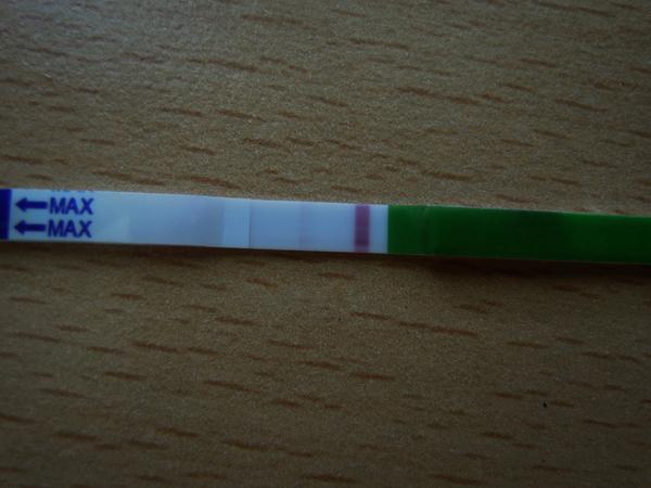 Blíží se podle testu ovulace?