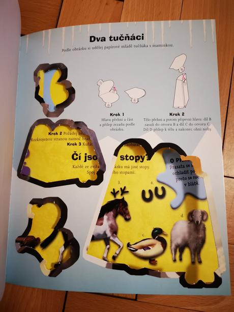 Velká kniha hádanek, 