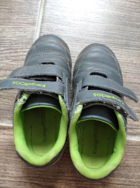 Botasky kangaroos, kangaroos,28