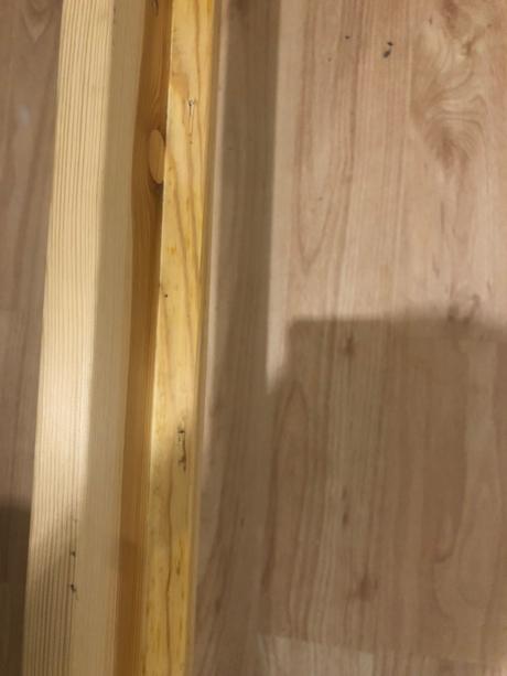 Patrová postel 90 x 200 cm masiv drevo, šířka (cm): 90,délka (cm): 200