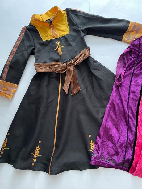 An13/ kostým anna frozen ii - v.3/4 roky, 