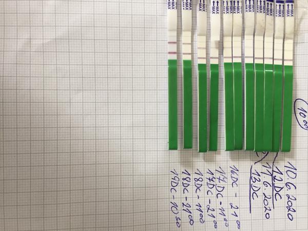 Ovu test. Kdy tedy dojde k ovulaci?