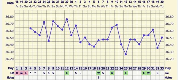 Jak správně interpretovat graf bazální teploty?