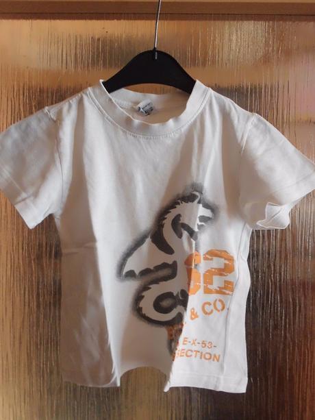 Triko bavlna s obrázkem, 122