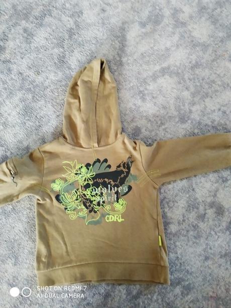 Mikina 110 coccodrillo, coccodrillo,110