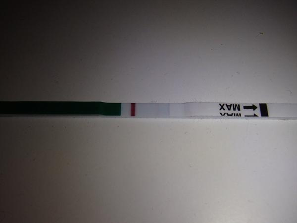 Je na těhotenském testu duch?