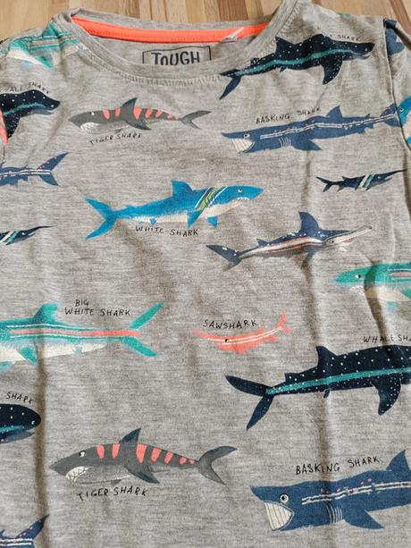 Tričko se žraloky 122 palomino, palomino,122