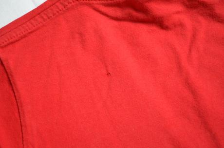 Tričko dinosaurus, 140