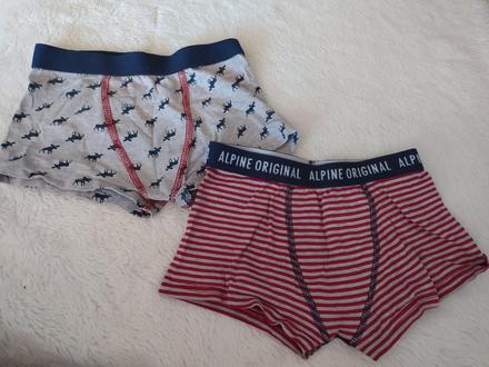 Boxerky alpine 2ks -98/104, alpine pro,98