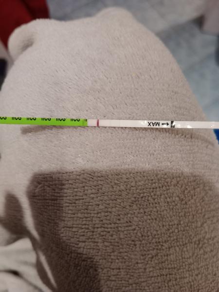 Může těhotenský test detekovat ovulaci?